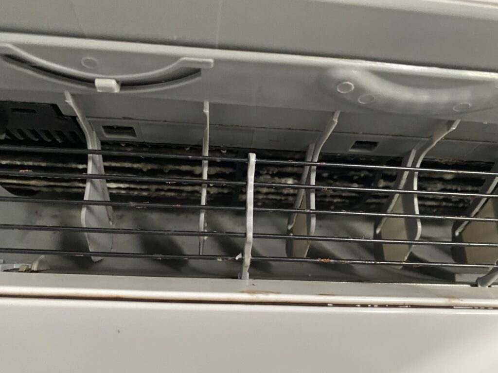 img 20260407 wa0019 img 20260407 wa0019