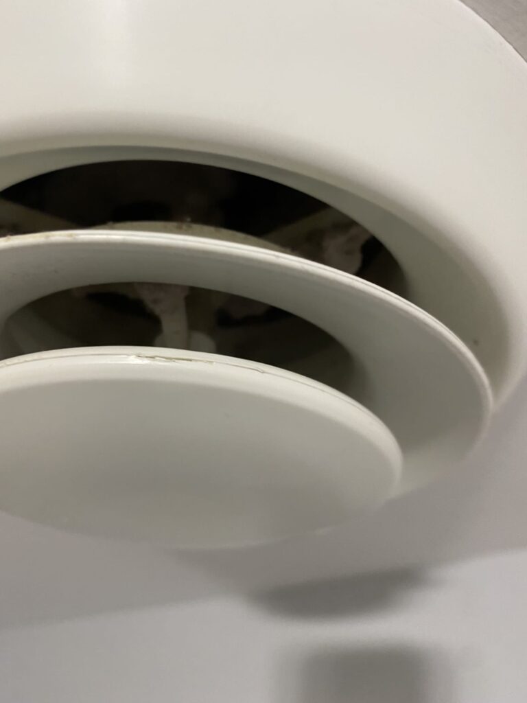 img 20260407 wa0030 img 20260407 wa0030